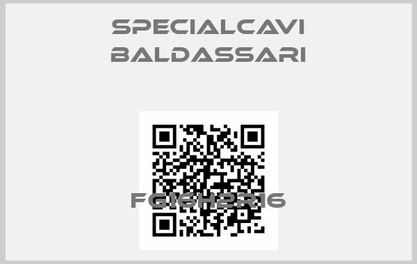 Specialcavi Baldassari-FG16H2R16