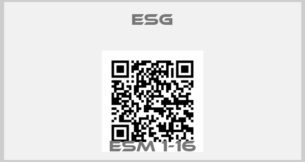 Esg-ESM 1-16