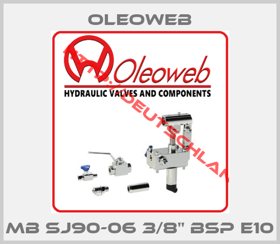 Oleoweb-MB SJ90-06 3/8" BSP E10