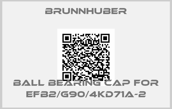 Brunnhuber-Ball bearing cap for EFB2/G90/4KD71A-2