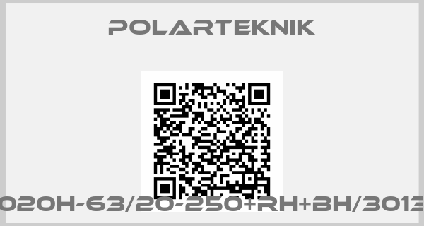 Polarteknik-P2020H-63/20-250+RH+BH/301338