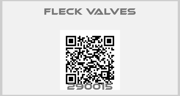 Fleck Valves-290015