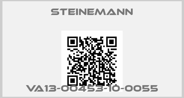 Steinemann- VA13-00453-10-0055