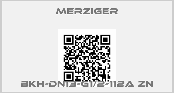Merziger-BKH-DN13-G1/2-112A Zn