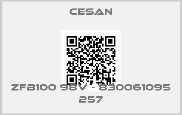 Cesan-ZFB100 98V - 830061095 257