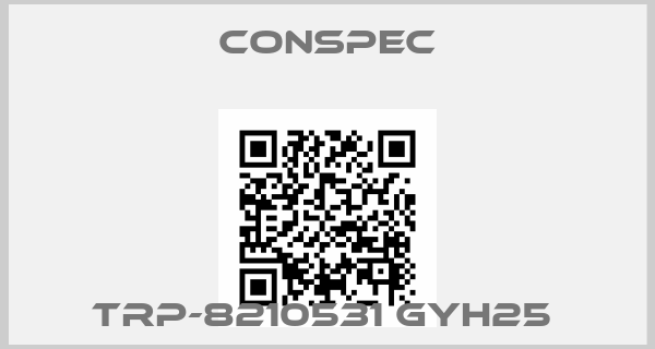 Conspec-TRP-8210531 GYH25 