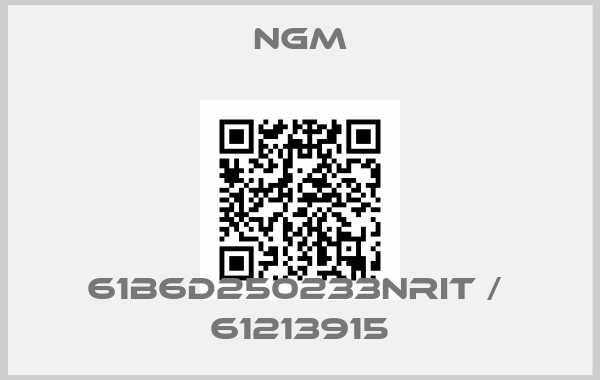 NGM-61B6D250233NRIT /  61213915