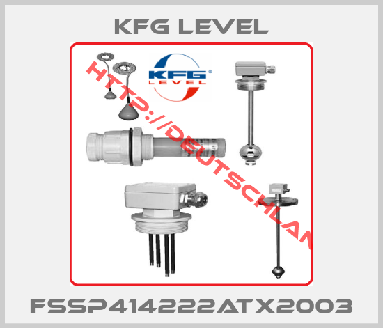 KFG Level-FSSP414222ATX2003