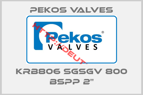 Pekos Valves-KRB806 SGSGV 800 BSPP 2"