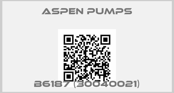 ASPEN Pumps-B6187 (30040021)