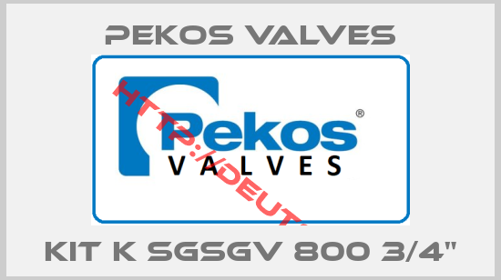 Pekos Valves-KIT K SGSGV 800 3/4"