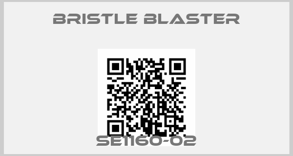 Bristle Blaster-SE1160-02