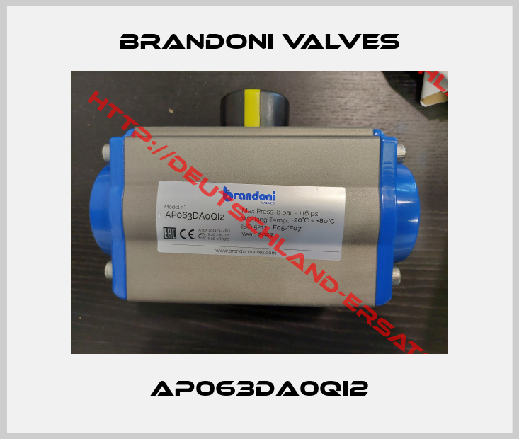 Brandoni valves-AP063DA0QI2