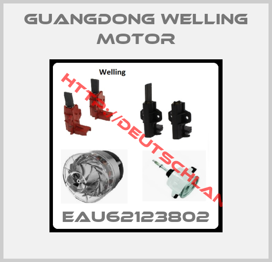 Guangdong Welling Motor-EAU62123802