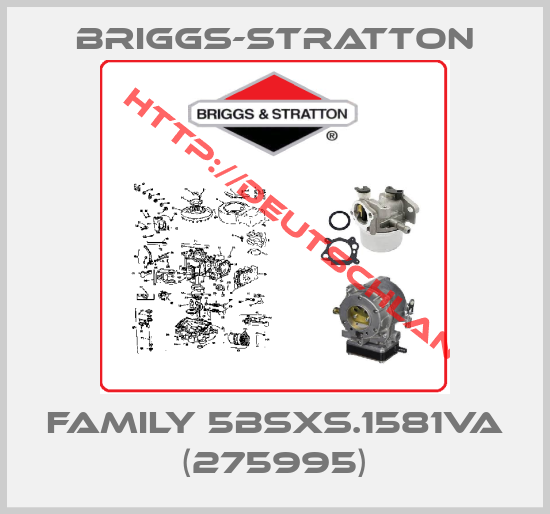Briggs-Stratton-FAMILY 5BSXS.1581VA (275995)