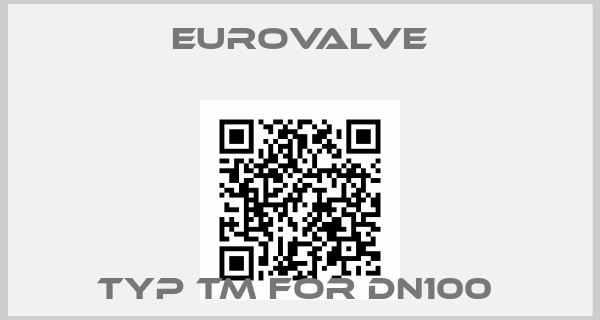 Eurovalve-TYP TM FOR DN100 