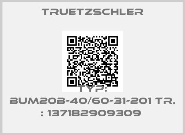 Truetzschler-TYP: BUM20B-40/60-31-201 TR. : 137182909309 