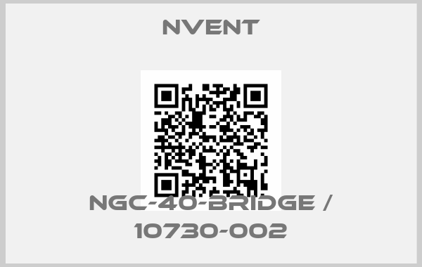 nVent-NGC-40-BRIDGE / 10730-002