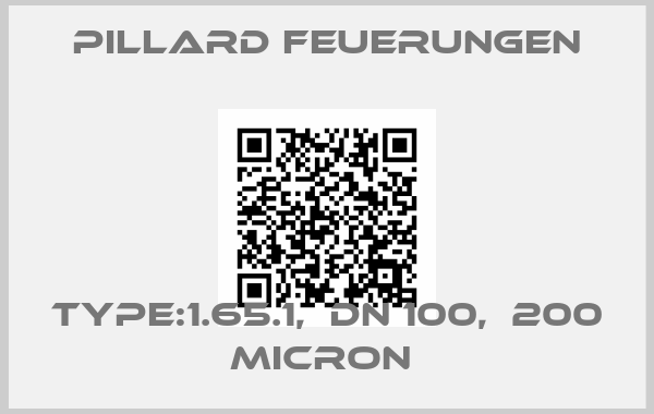 Pillard Feuerungen-TYPE:1.65.1,  DN 100,  200 MICRON 