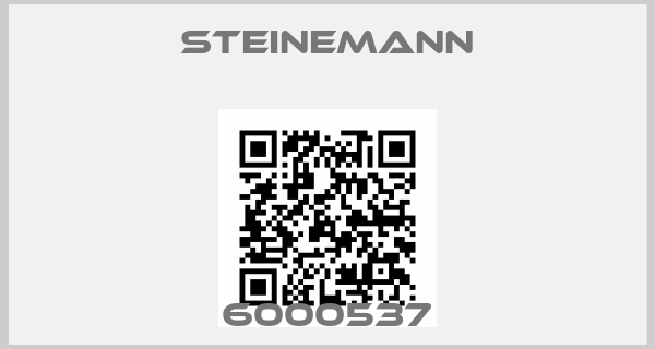 Steinemann-6000537