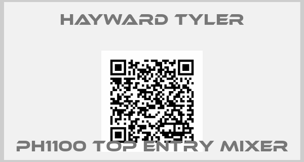 Hayward Tyler-PH1100 Top Entry mixer