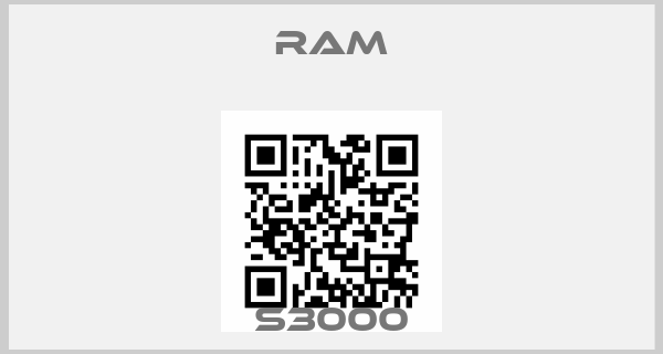 RAM-S3000