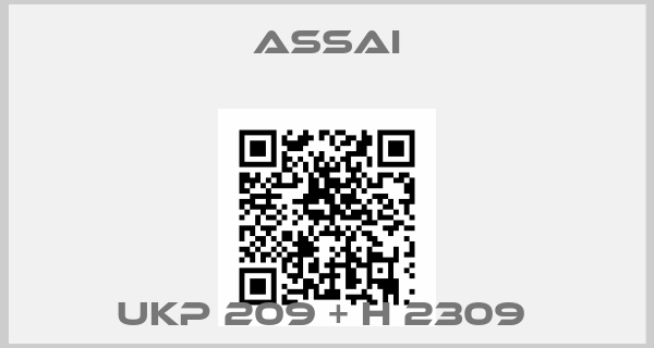 Assai-UKP 209 + H 2309 