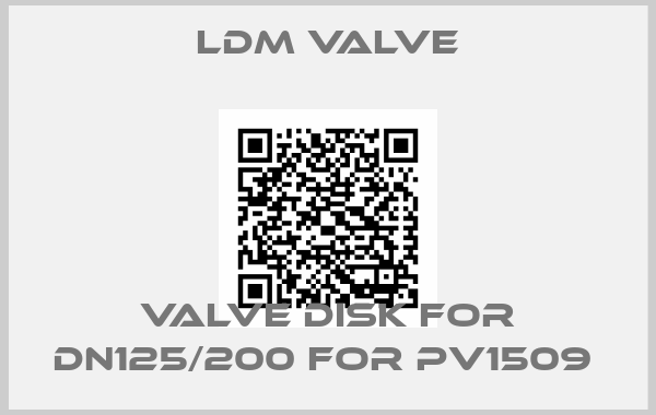 LDM Valve-VALVE DISK FOR DN125/200 FOR PV1509 