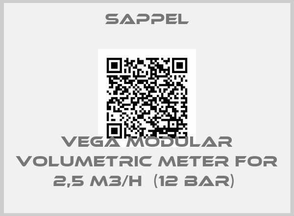Sappel-VEGA MODULAR VOLUMETRIC METER FOR 2,5 M3/H  (12 BAR) 