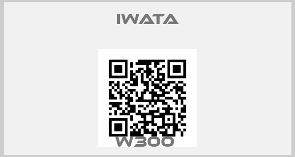 Iwata-W300 