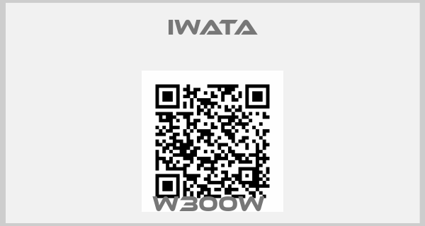 Iwata-W300W 