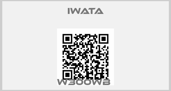 Iwata-W300WB 
