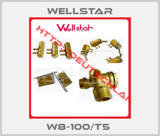 WELLSTAR-W8-100/T5 