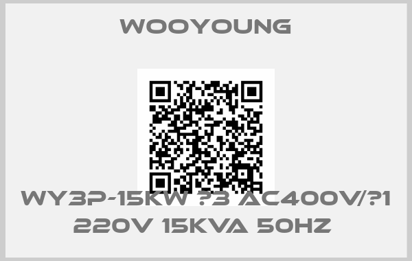 Wooyoung-WY3P-15KW ∅3 AC400V/∅1 220V 15KVA 50HZ 