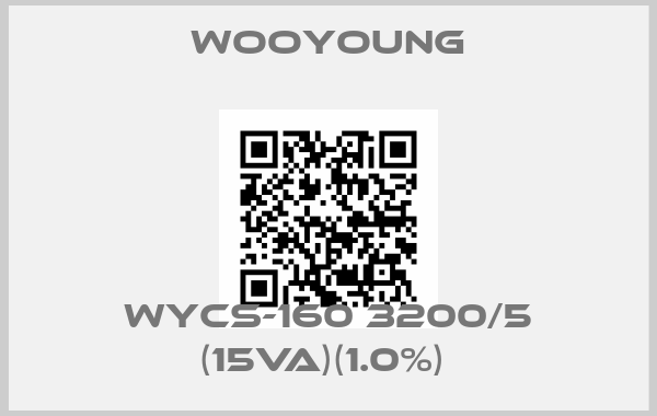 Wooyoung-WYCS-160 3200/5 (15VA)(1.0%) 