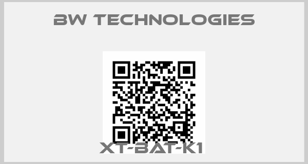 BW Technologies-XT-BAT-K1 
