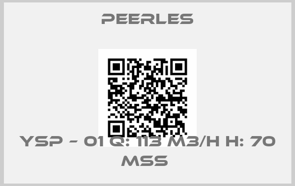 Peerles-YSP – 01 Q: 113 M3/H H: 70 MSS 