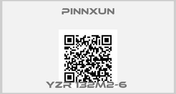 PINNXUN-YZR 132M2-6 