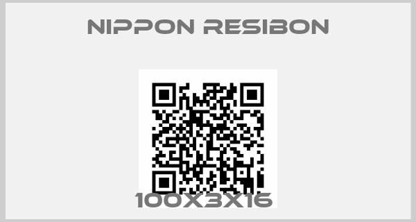 NIPPON RESIBON-100x3x16 