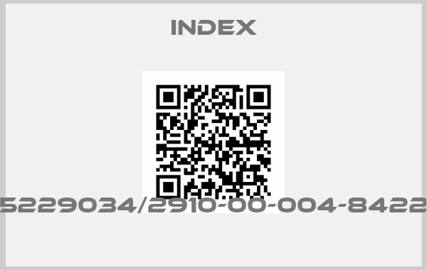 Index-5229034/2910-00-004-8422 