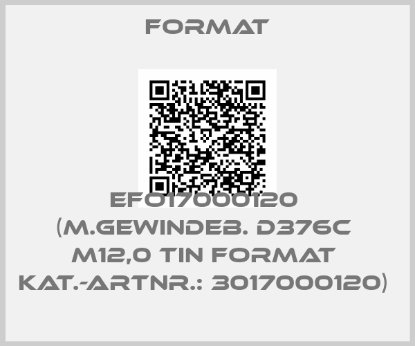 Format-EFO17000120  (M.Gewindeb. D376C  M12,0 TiN FORMAT  Kat.-Artnr.: 3017000120) 