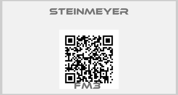 Steinmeyer-FM3 