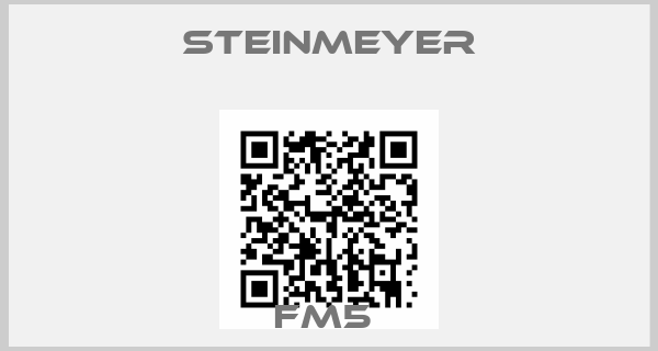 Steinmeyer-FM5 