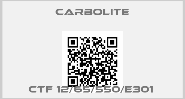 Carbolite-CTF 12/65/550/E301 