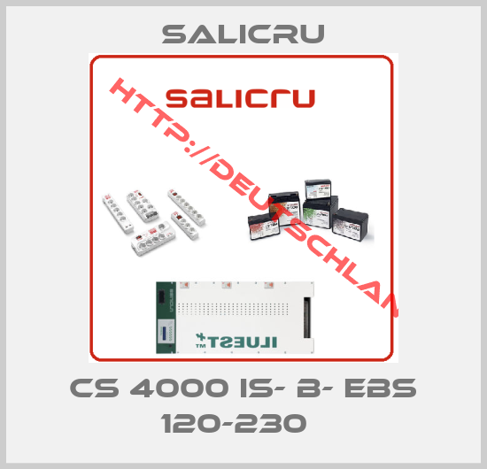 SALICRU-CS 4000 IS- B- EBS 120-230  