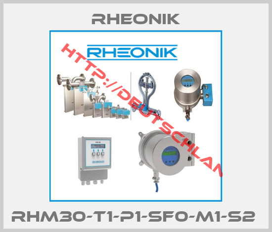 Rheonik-RHM30-T1-P1-SF0-M1-S2 