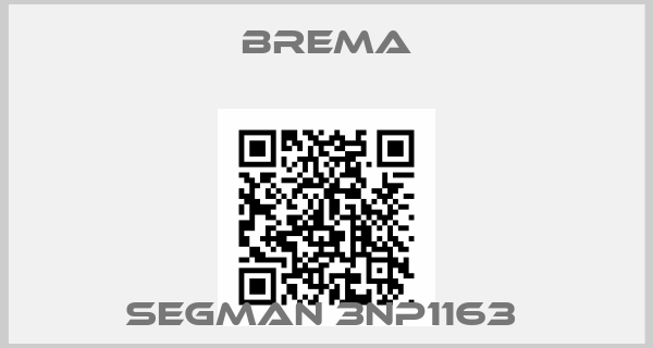 Brema-Segman 3NP1163 