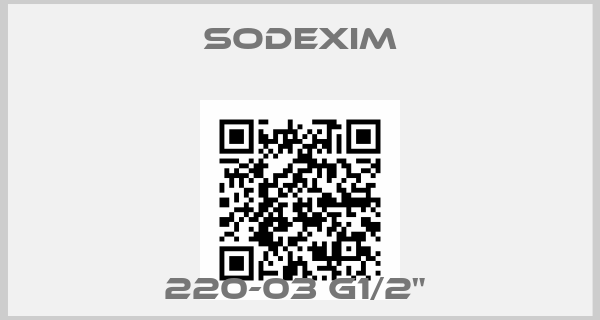 SODEXIM-220-03 G1/2" 