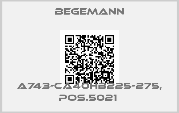 BEGEMANN-A743-CA40HB225-275, POS.5021 