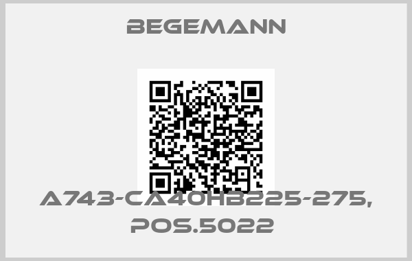 BEGEMANN-A743-CA40HB225-275, POS.5022 